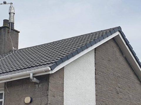 roof guard services